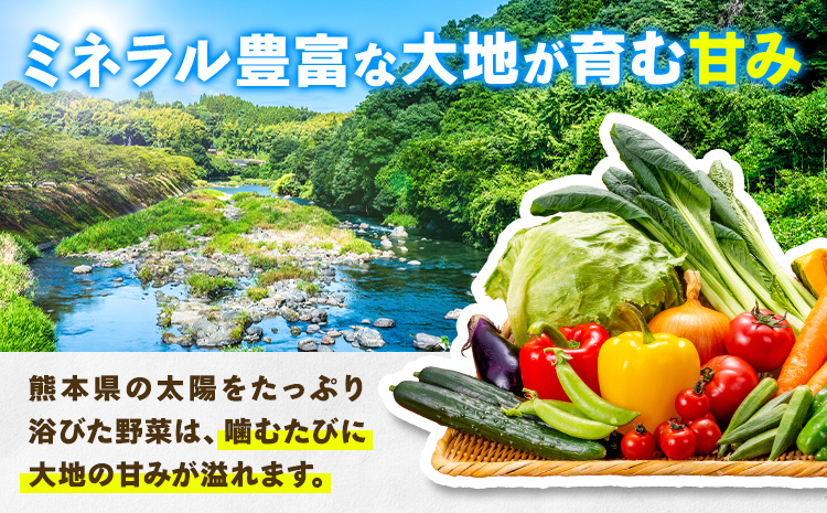 譌ャ縺ョ驥手除繝サ譫懃黄隧ー繧∝粋繧上○繧サ繝繝 8-12蜩 豌キ蟾晉伴逕」 驕薙ョ鬧遶懷圏縲30譌・莉・蜀縺ォ蜃コ闕キ莠亥ョ(蝨滓律逾晞勁縺)縲狗頑悽逵 豌キ蟾晉伴 譌ャ 繝輔Ν繝シ繝 譫懃黄 縺上□繧ゅョ 驥手除 繧縺輔> 譁ー魄ョ