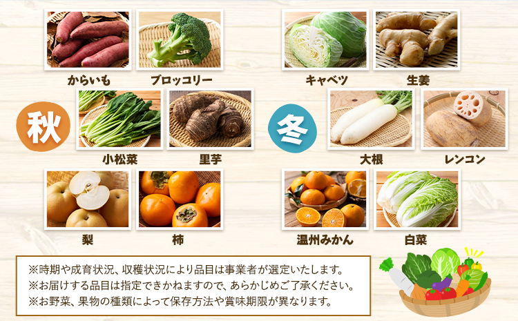 【3ヶ月定期便】旬の野菜・果物詰め合わせセット 8-12品 氷川町産 道の駅竜北《お申込み月の翌月から出荷開始》熊本県 氷川町 旬 フルーツ 果物 くだもの 野菜 やさい 新鮮