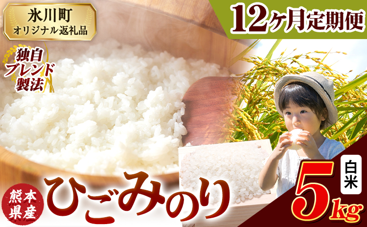【12ヶ月定期便】ひごみのり 白米 熊本県産 ブレンド米 5kg 熊本県産 ふるさと納税  精米 米 こめ ふるさとのうぜい コメ お米 おこめ《申込み翌月から発送》