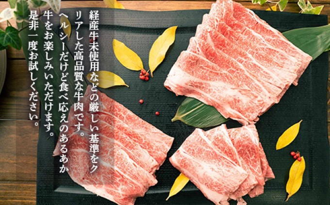 あか牛 赤牛 熊本 和牛 肥後 すきやき用 切り落し 600g GI認証 くまもと 牛肉 和牛 牛切り落とし 配送不可:離島