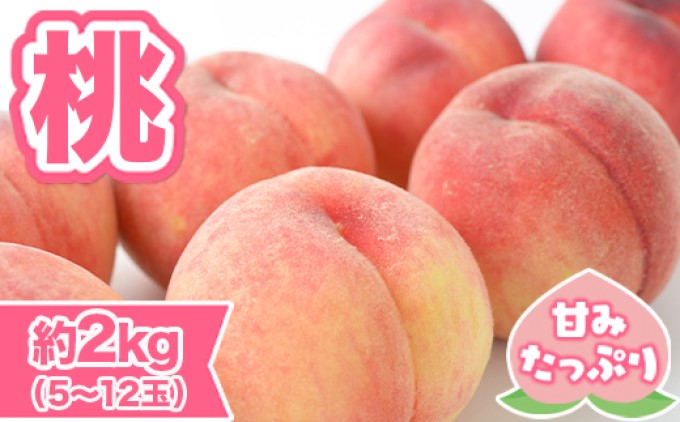 桃 先行予約 錦町産 約2kg 5玉～12玉 6月より順次出荷 もも モモ フルーツ 果物 デザート 配送不可：離島