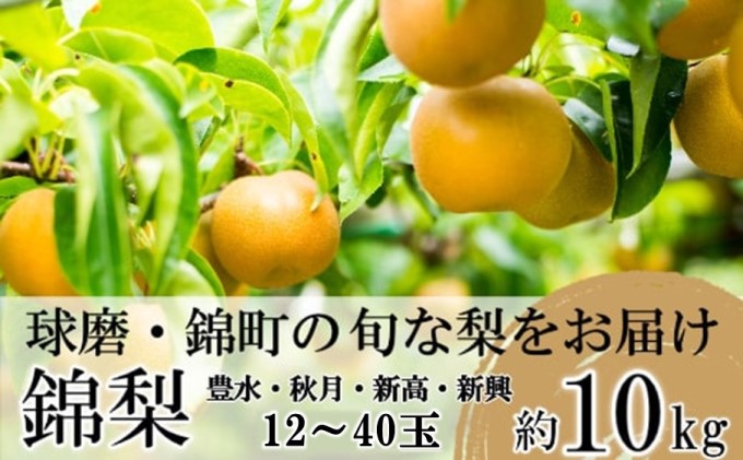 梨 先行予約 旬の梨 約10kg 12玉～40玉 豊水 秋月 新興 新高 錦町産 8