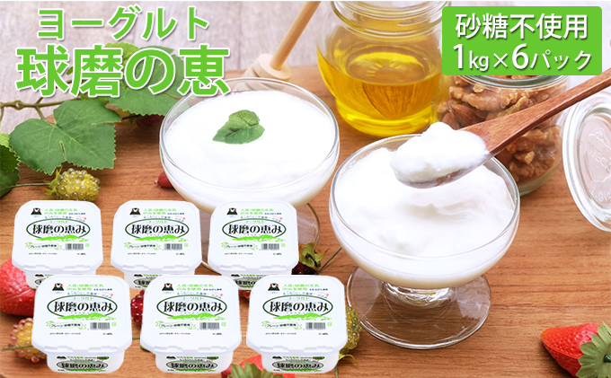 球磨の恵ヨーグルト 1kg×6パック（砂糖不使用） 乳製品
