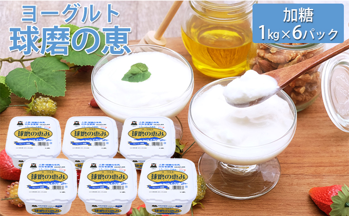 球磨の恵ヨーグルト 1kg×6パック 乳製品 砂糖 シュガー