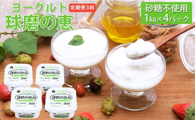 定期便3回 球磨の恵ヨーグルト 1kg×4パック（砂糖不使用）【配送不可：沖縄、離島】 乳製品 発酵食品 朝食 間食 新鮮 生乳 とろ～り もっちり 酸味がない 無糖 4個セット 3回お届け 大容量