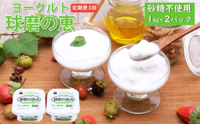 定期便3回 球磨の恵ヨーグルト 1kg×2パック（砂糖不使用）【配送不可：沖縄、離島】 乳製品 発酵食品 朝食 間食 新鮮 生乳 とろ～り もっちり 酸味がない 無糖 2個セット 3回お届け 大容量