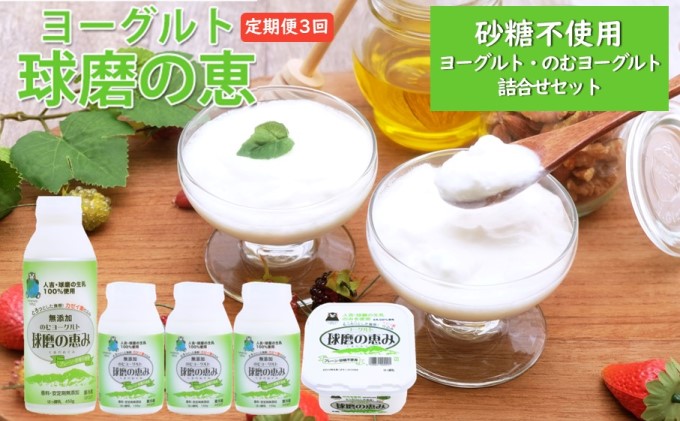定期便3回 球磨酪農おすすめ！球磨の恵み ヨーグルト（砂糖不使用） 詰合せ セット ヨーグルト1kg×1個・のむヨーグルト（450g×1本・150g×3本）※配送不可：沖縄・離島 乳製品 発酵食品