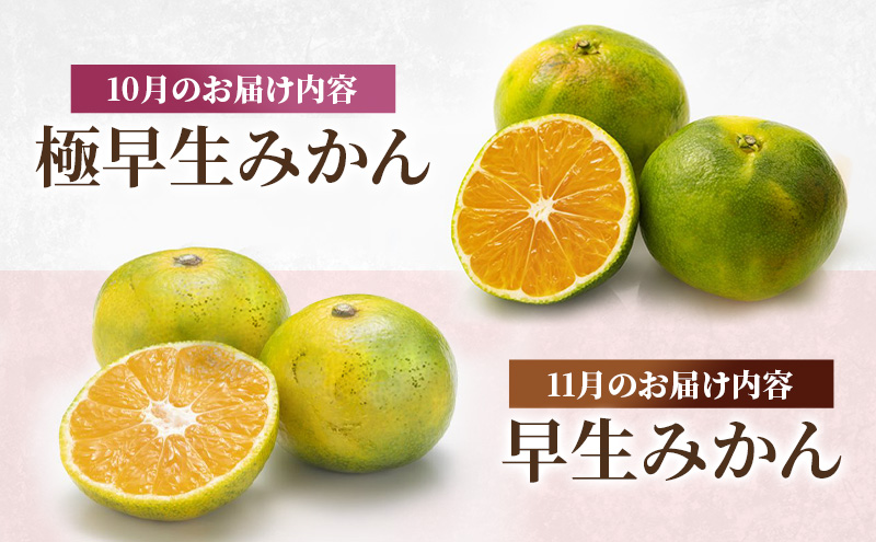 定期便 2回 先行予約 【 桃 白桃 7月頃 梨 9月頃 】白鳳 特製桃源郷錦 約1kg、清流錦梨 約5kg もも モモ なし フルーツ 果物 デザート お楽しみ 2025年発送 配送不可:離島 