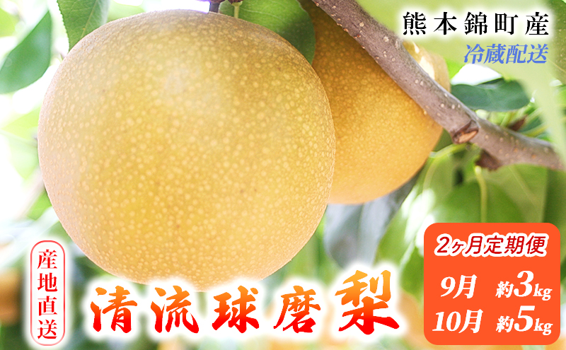 定期便 2回 先行予約 梨 清流錦 あきづき 9月 3kg 新興 10月 5kg フルーツ なし ナシ 果物 デザート 秋月 お楽しみ2025年発送 配送不可:離島 