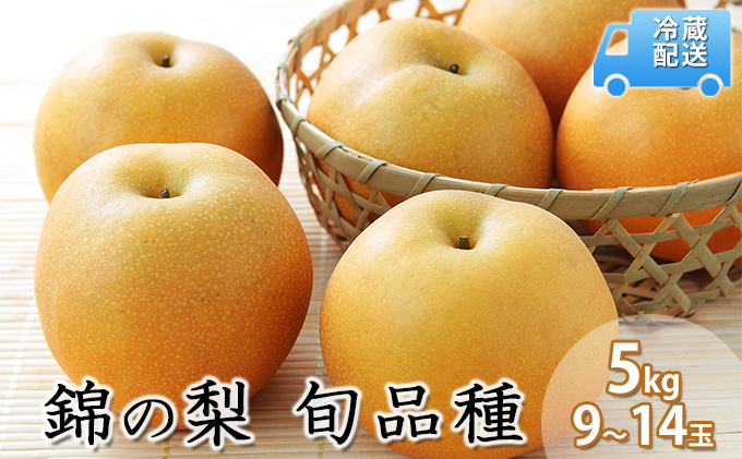 梨 5kg 先行予約 錦の梨 約9玉～14玉 フルーツ なし ナシ 果物 デザート 2026年発送 古里農園 配送不可:離島