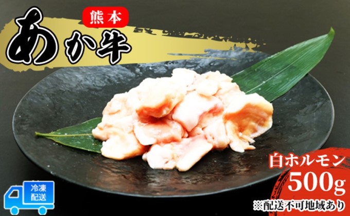 あか牛 赤牛 熊本 和牛 肥後 赤牛 白ホルモン 500g (250g×2パック) 牛肉 肉 お肉 配送不可:離島 牛ホルモン 国産 日本産 熊本県産 柔らかい 食感 ぷりぷり ホルモン焼き もつ鍋 もつ煮込 鍋料理 冬 つまみ