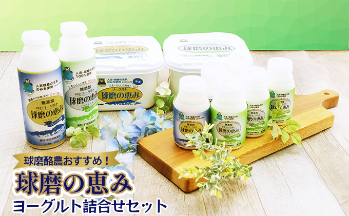 球磨酪農おすすめ！球磨の恵み ヨーグルト 詰合せ セット ヨーグルト1kg×2個・のむヨーグルト（450g×2本・150g×6本）※配送不可：沖縄・離島 乳製品 ヨーグルトドリンク 生乳100% 熊本県産 朝ご飯 発酵食品 健康 腸内環境 乳酸菌 