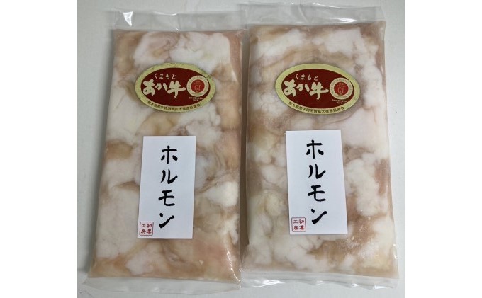 馬刺し 熊本 赤身 あか牛 ホルモン セット 赤牛 熊本 和牛 肥後 熊本直送 馬刺 馬肉 肉 お肉 冷凍 配送不可:離島 