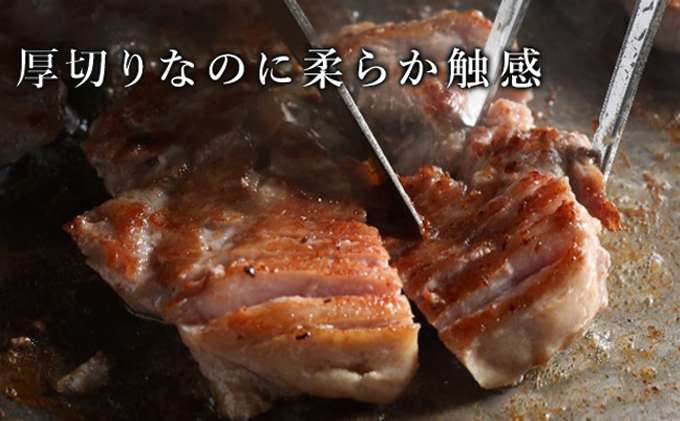 訳あり 厚切り 牛タン 塩味 軟化加工 約1kg 牛たん 塩たん 牛 牛肉 肉 お肉 タン 冷凍 焼肉 配送不可：離島 