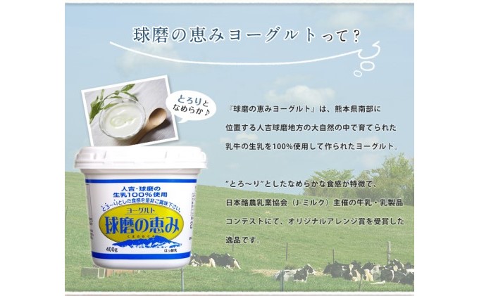 リキュール 特濃ヨーグルト とろ～り くまモンデザイン 箱付き 500ml 3本