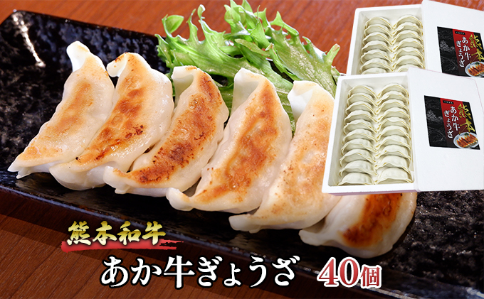ぎょうざ 熊本 あか牛 餃子 セット 計40個（20個入り×2箱）和牛 肉 お肉 牛肉 加工品 ギョウザ 赤牛 配送不可：離島 熊本県産野菜使用 濃厚な肉汁 おかず つまみ ビールのお供 中華