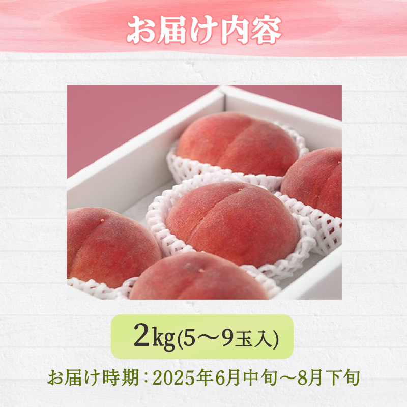 桃 白桃 先行予約 錦の桃 2kg 約5玉～9玉 もも モモ フルーツ 果物 デザート 2026年発送 鎌木果樹園 配送不可:離島 