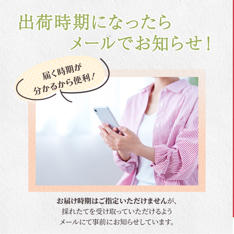 定期便 2回 先行予約 梨 清流錦 豊水 あきづき 新高 かおり 8月 5kg 9月 3kg フルーツ なし ナシ 果物 デザート お楽しみ 2026年発送 配送不可:離島 