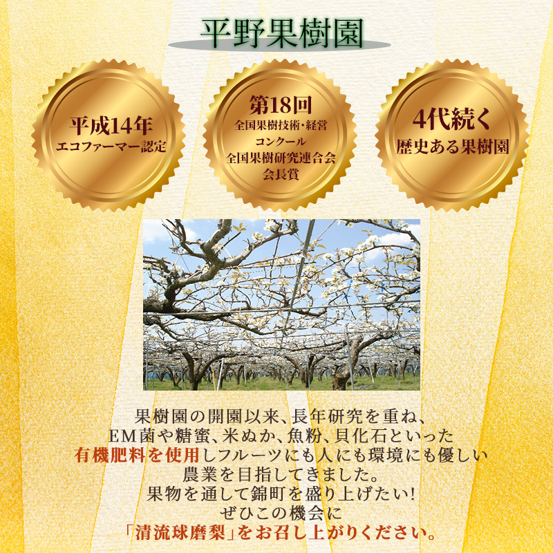 梨 旬 5kg 先行予約 2025年発送 平野果樹園 錦の梨 なし フルーツ 果物 デザート 配送不可:離島 