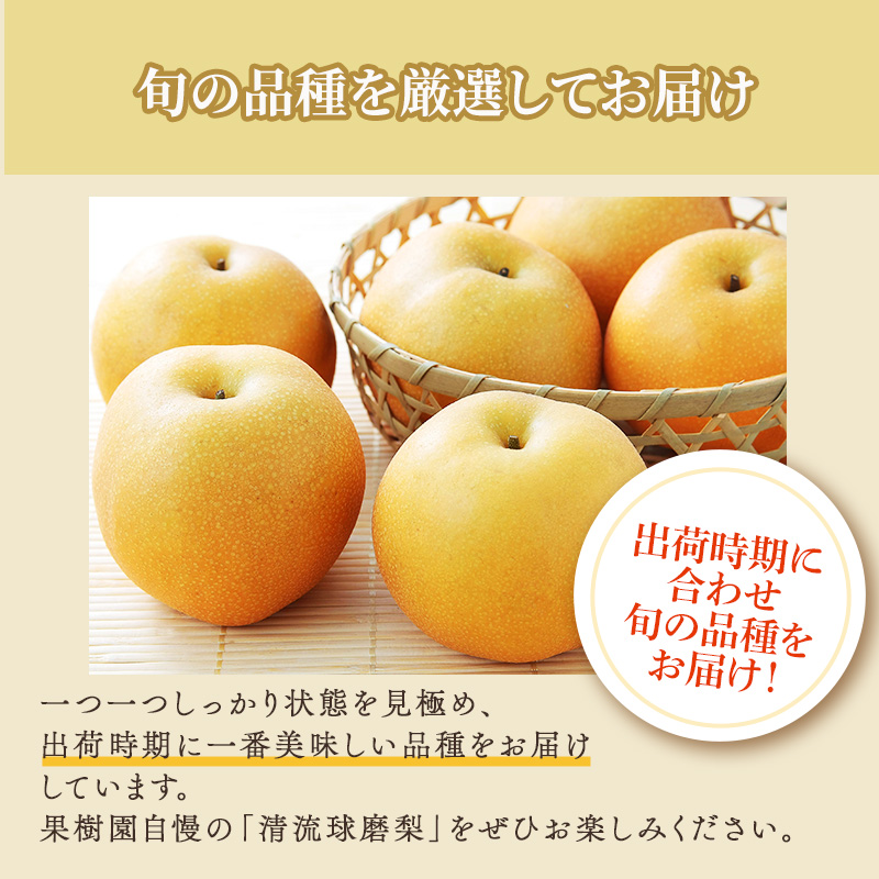 定期便 2回 先行予約 梨 清流錦 豊水 あきづき 新高 かおり 8月 5kg 9月 3kg フルーツ なし ナシ 果物 デザート お楽しみ 2024年発送 配送不可:離島