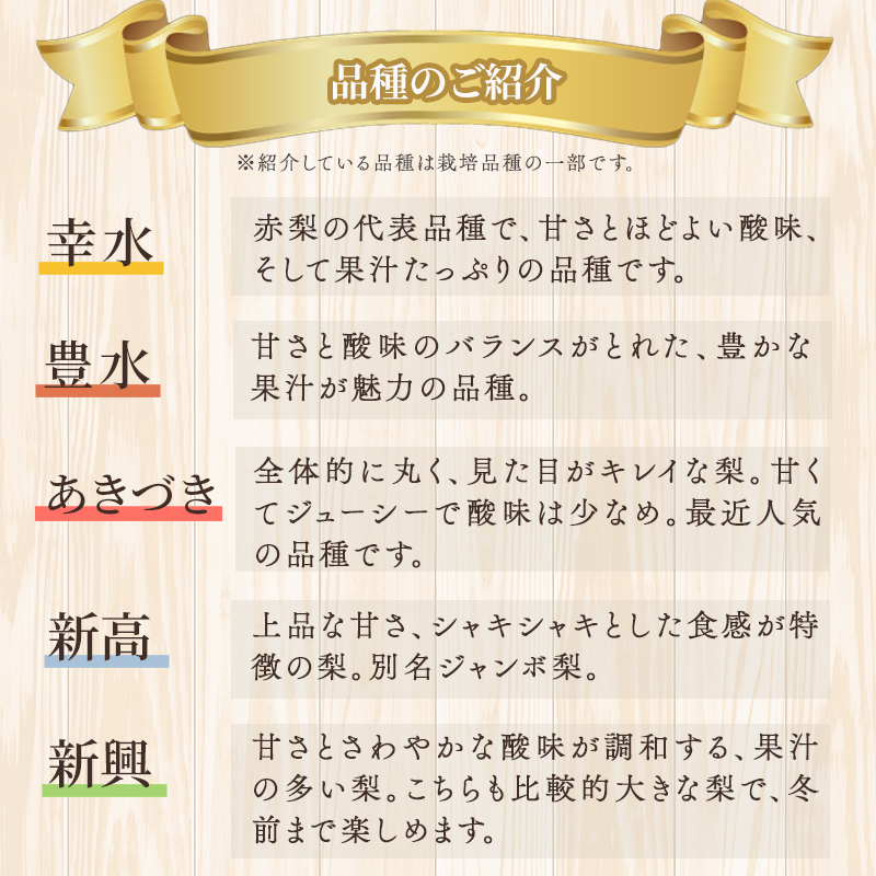 定期便 2回 先行予約 梨 清流錦 豊水 あきづき 新高 かおり 8月 5kg 9月 3kg フルーツ なし ナシ 果物 デザート お楽しみ 2024年発送 配送不可:離島