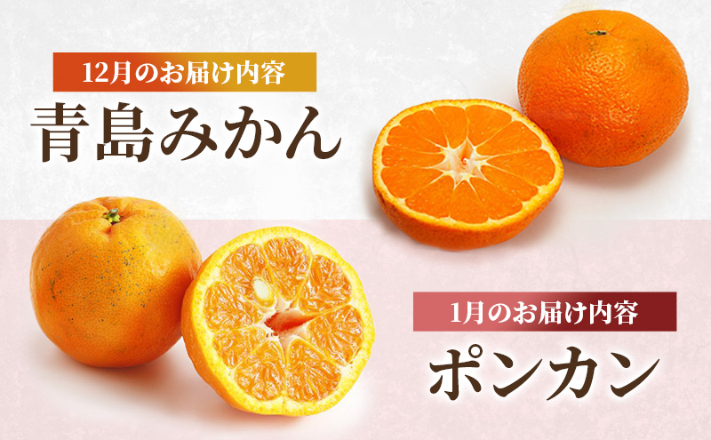 定期便 2回 先行予約 【 桃 白桃 7月頃 梨 9月頃 】白鳳 特製桃源郷錦 約1kg、清流錦梨 約5kg もも モモ なし フルーツ 果物 デザート お楽しみ 2025年発送 配送不可:離島 