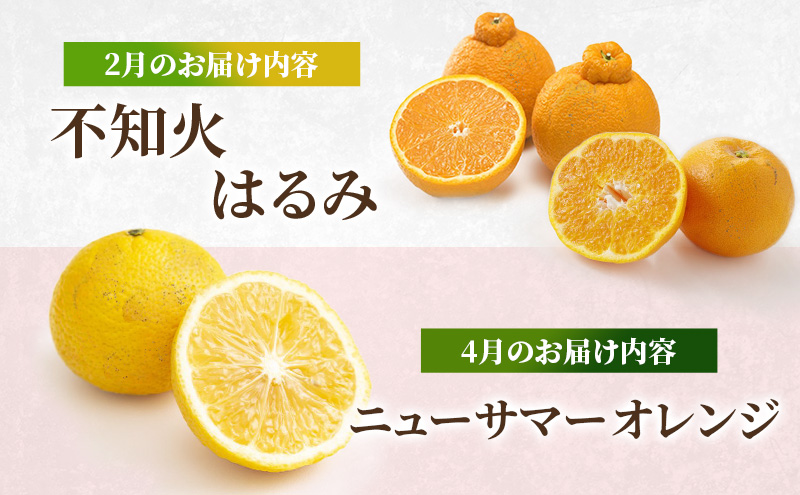 定期便 2回 先行予約 【 桃 白桃 7月頃 梨 9月頃 】白鳳 特製桃源郷錦 約1kg、清流錦梨 約5kg もも モモ なし フルーツ 果物 デザート お楽しみ 2025年発送 配送不可:離島 
