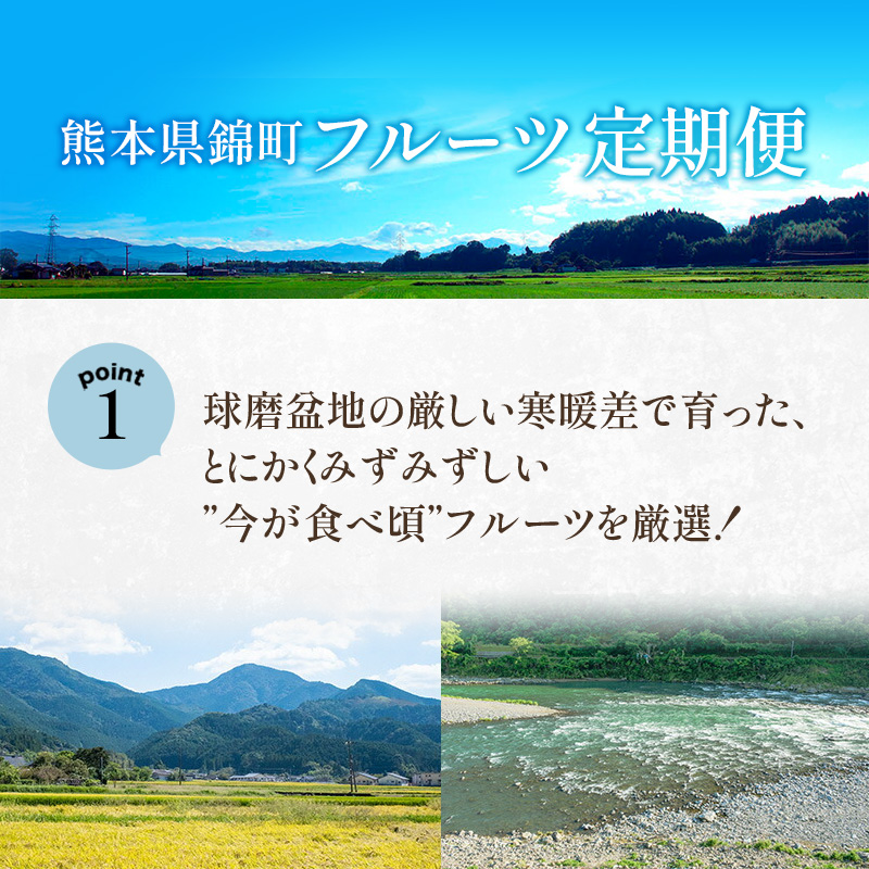 定期便 2回 先行予約 【 桃 白桃 7月頃 梨 9月頃 】白鳳 特製桃源郷錦 約1kg、清流錦梨 約5kg もも モモ なし フルーツ 果物 デザート お楽しみ 2024年発送 配送不可:離島