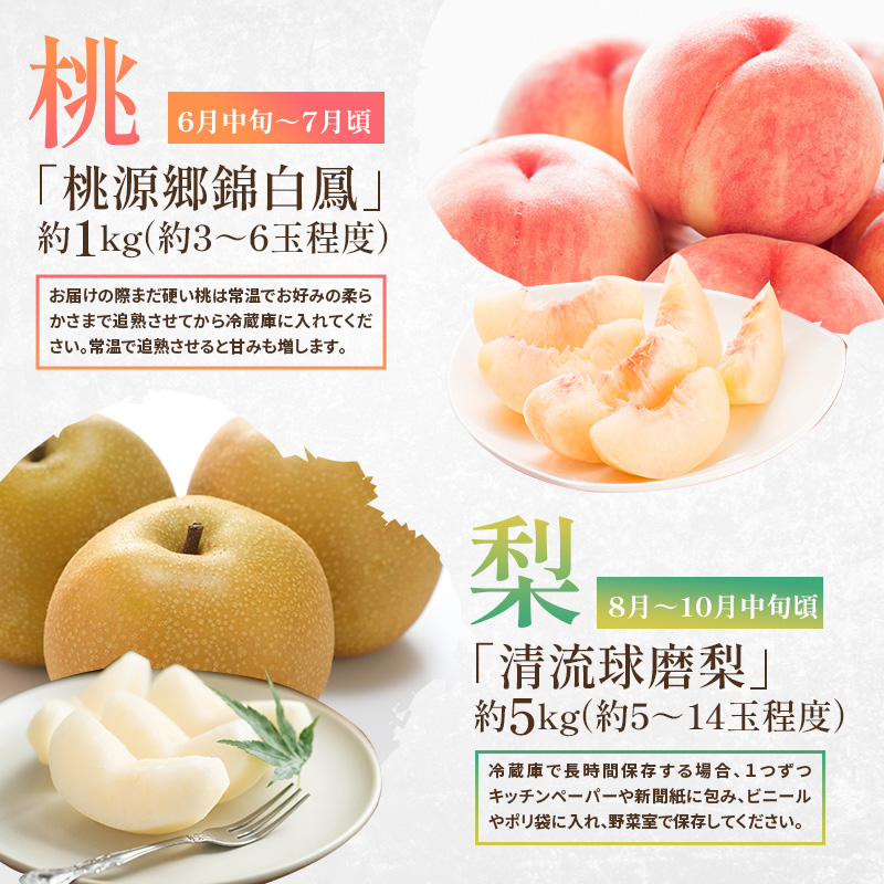 定期便 2回 先行予約 【 桃 白桃 6～7月頃 梨 8～10月頃 】白鳳 特製桃源郷錦 約1kg、清流錦梨 約5kg もも モモ なし フルーツ 果物 デザート お楽しみ 2025年発送 配送不可:離島 