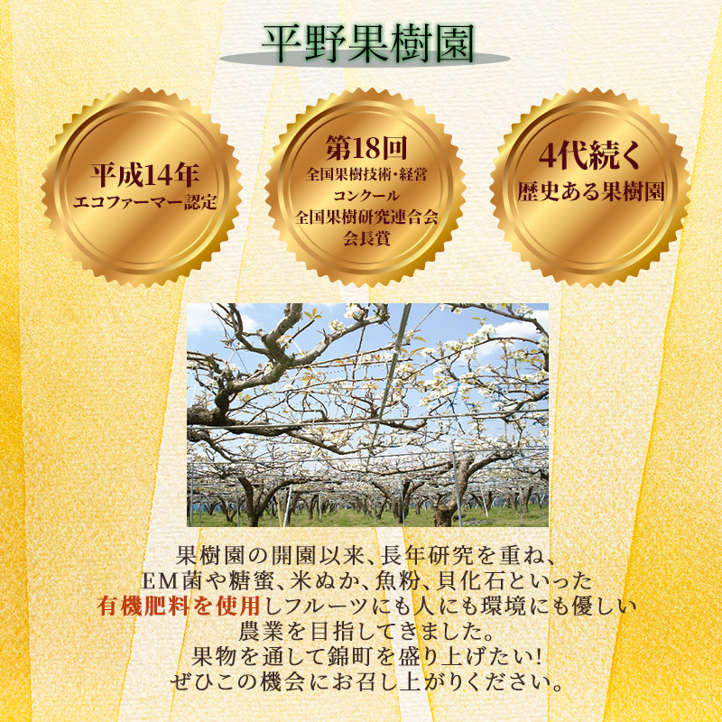定期便 2回 先行予約 【 桃 白桃 6～7月頃 梨 8～10月頃 】白鳳 特製桃源郷錦 約1kg、清流錦梨 約5kg もも モモ なし フルーツ 果物 デザート お楽しみ 2025年発送 配送不可:離島 
