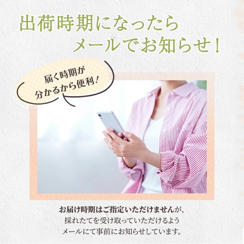 定期便 2回 先行予約 【 桃 白桃 6～7月頃 梨 8～10月頃 】白鳳 特製桃源郷錦 約1kg、清流錦梨 約5kg もも モモ なし フルーツ 果物 デザート お楽しみ 2025年発送 配送不可:離島 