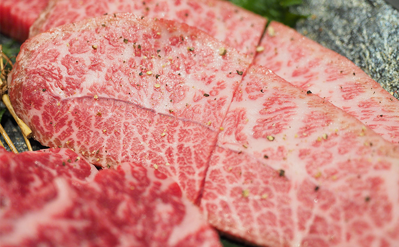 牛肉 厳選 希少部位 A4～A5 くまもと 黒毛和牛 ミスジ ステーキ 約1kg (100g×10p) 肉 お肉 ※配送不可：離島