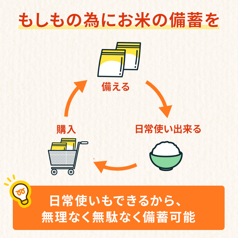 熊本県錦町産森のくまさん使用！ わかめごはん 100g 10袋セット もちもち食感　甘みしっかり アルファ米 保存食 非常食 長期保存 アルファ化米