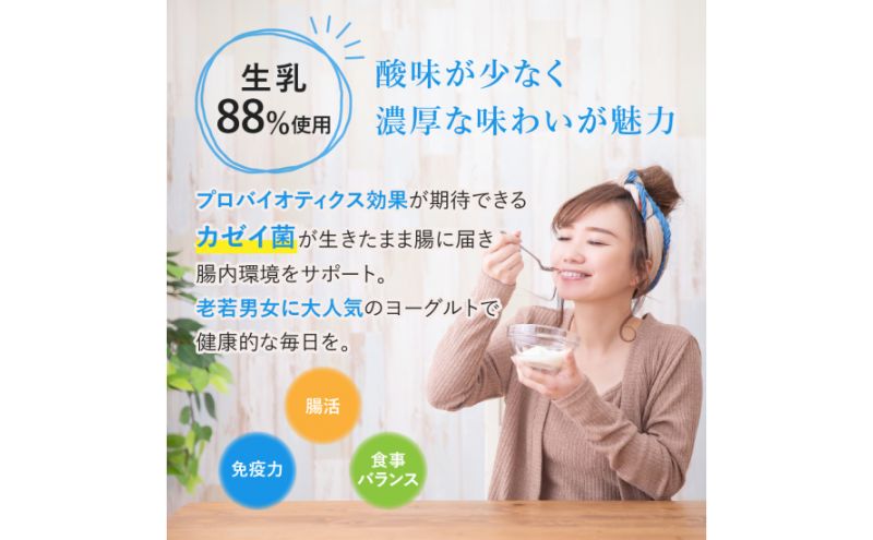 牛乳 ヨーグルト 球磨の恵み お腹にもやさしいA2ミルクとヨーグルト加糖 セット ミルク 牛乳2本 ヨーグルト2個【配送不可：沖縄県、離島】