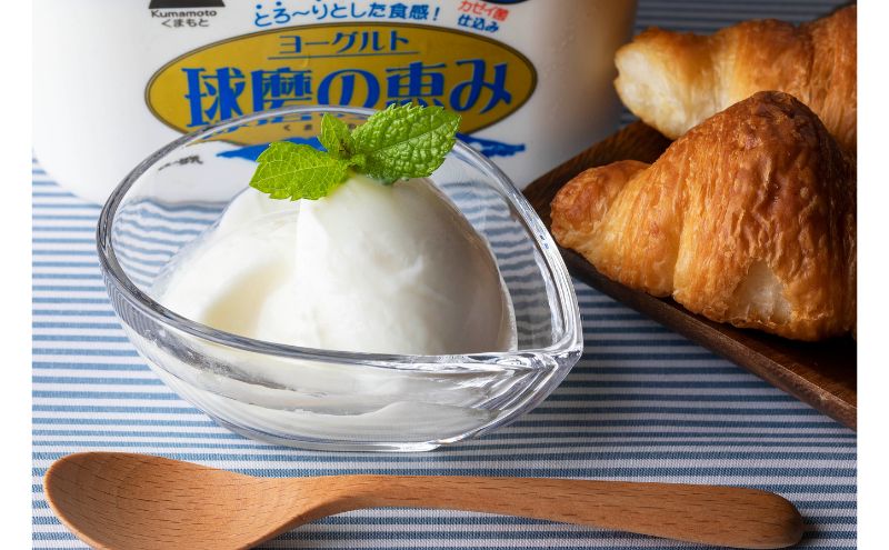 ヨーグルト もっちり、とろ～りの2つに食感！　球磨の恵みヨーグルト ( 加糖タイプ ) 3kg 【配送不可：沖縄県、離島】