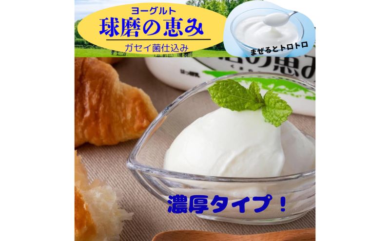 ãšãŒã°ã«ã ãã£ã¡ãããšãïœãã®2ã€ã«é£æïŒ çç£šã®æµã¿ãšãŒã°ã«ã (ç ç³äžäœ¿çš) 3kg ãé
éäžå¯ïŒæ²çžçãé¢å³¶ã