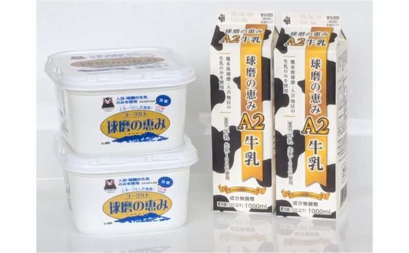 牛乳 ヨーグルト 球磨の恵み お腹にもやさしいA2ミルクとヨーグルト加糖 セット ミルク 牛乳2本 ヨーグルト2個【配送不可：沖縄県、離島】