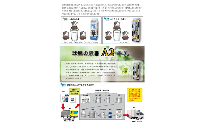 牛乳 ヨーグルト 球磨の恵み お腹にもやさしいA2ミルクとヨーグルト加糖 セット ミルク 牛乳2本 ヨーグルト2個【配送不可：沖縄県、離島】