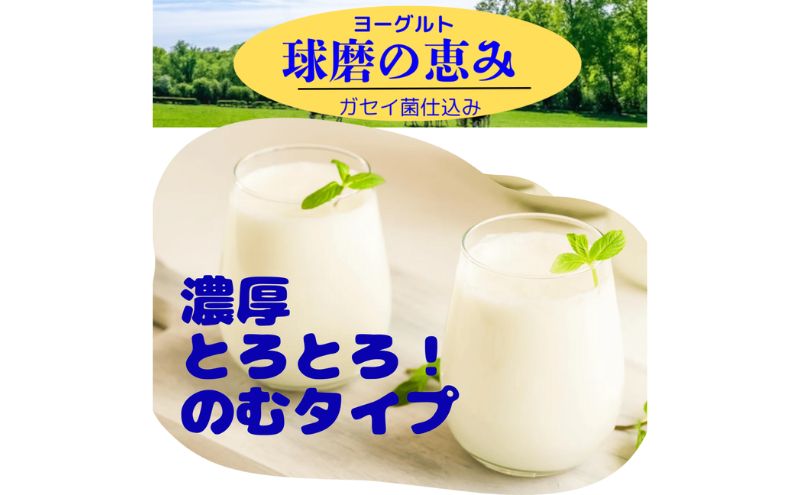 çç£šã®æµã¿ ã®ããšãŒã°ã«ã ( ç ç³äžäœ¿çš ) 10æ¬ ã»ãã ãé
éäžå¯ïŒæ²çžçãé¢å³¶ã