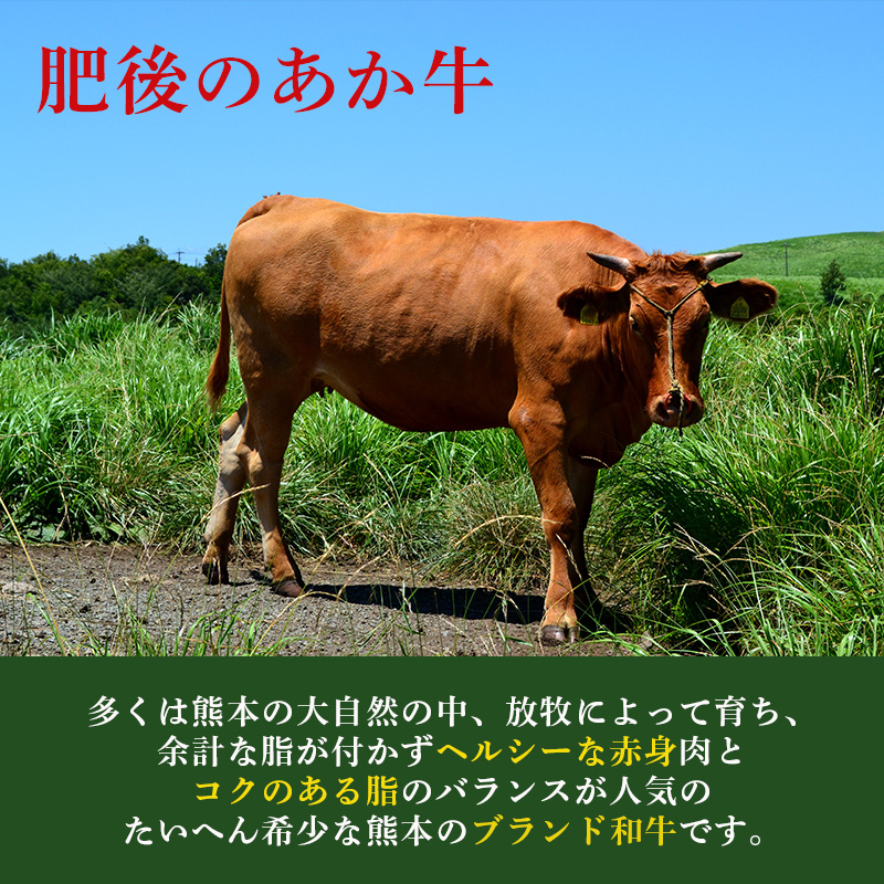 牛肉100％ 国産 冷凍 調理済み あか牛 湯煎 熊本県産 赤牛 ハンバーグ 150g×10個 G-48 和牛 九州産 送料無料 