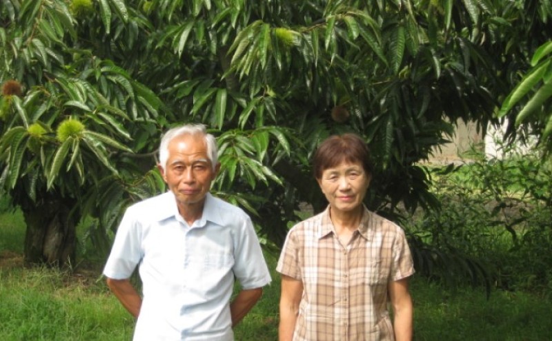 〈賀久農園の球磨栗〉熊本 錦町産 冷凍 むき栗 200g×2 栗 くり クリ 令和8年産 球磨栗 栗ご飯 数量限定 果物 フルーツ ※配送不可：離島