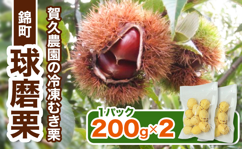 〈賀久農園の球磨栗〉熊本 錦町産 冷凍 むき栗 200g×2 栗 くり クリ 令和8年産 球磨栗 栗ご飯 数量限定 果物 フルーツ ※配送不可：離島