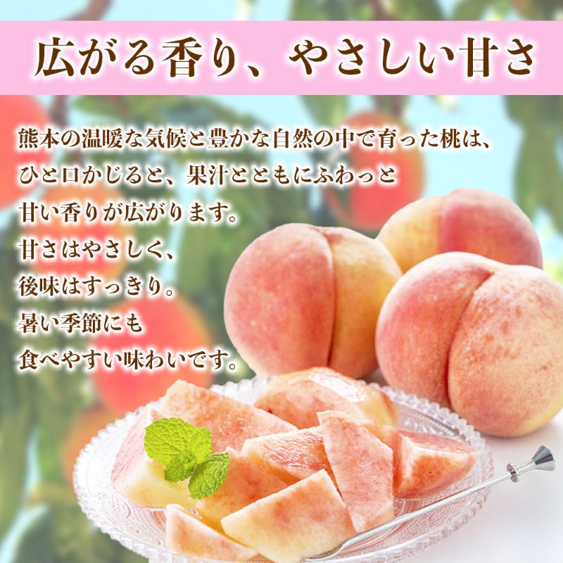 もも 約4kg（10～22玉）【桃 もも モモ 果物 フルーツ デザート 食後 錦町産】※配送不可：離島