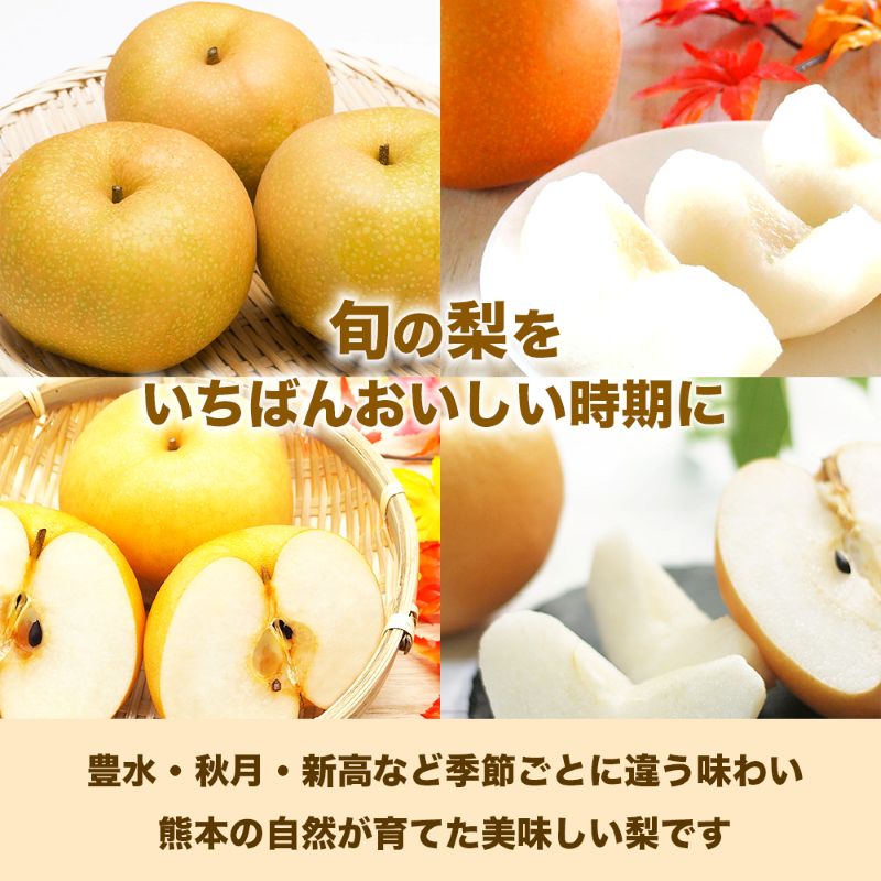 旬の梨 品種おまかせ 約3kg（4～12玉）【梨 なし 果物 フルーツ デザート 食後 熊本県産】※配送不可：離島