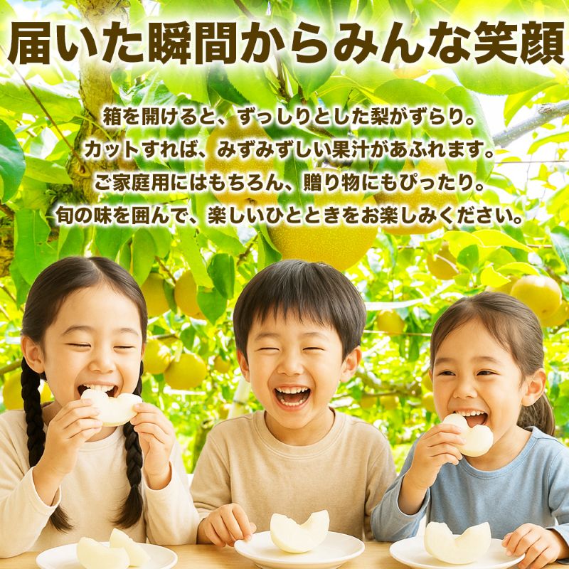 旬の梨 品種おまかせ 約3kg（4～12玉）【梨 なし 果物 フルーツ デザート 食後 熊本県産】※配送不可：離島