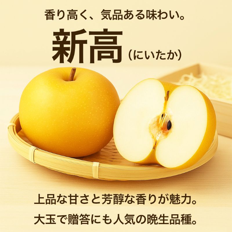 新高梨 約1.8kg（5～8玉）【梨 なし 果物 フルーツ デザート 食後 熊本県産】※配送不可：離島