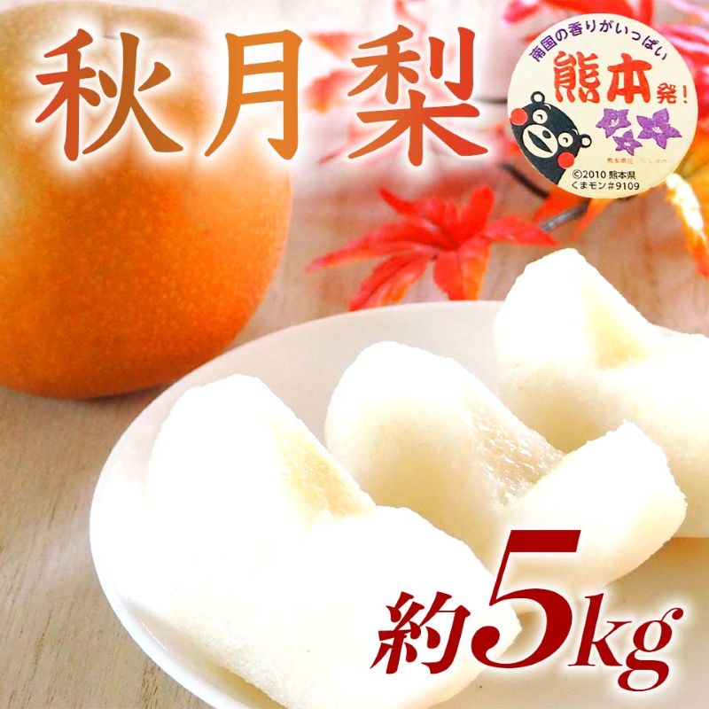 秋月梨 約5kg（6～18玉）【梨 なし 果物 フルーツ デザート 食後 熊本県産】※配送不可：離島