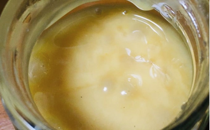 はちみつ 無添加 非加熱 希少 球磨産  地蜂蜜 500g×1本 加工食品 