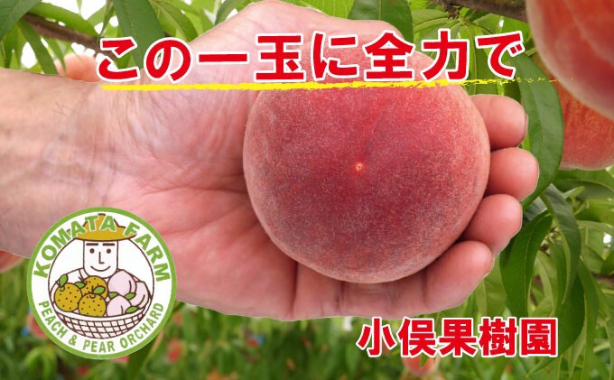 桃 白桃 約2kg 錦の桃 もも モモ フルーツ 果物 デザート 2024年発送 小俣果樹園 配送不可:離島
