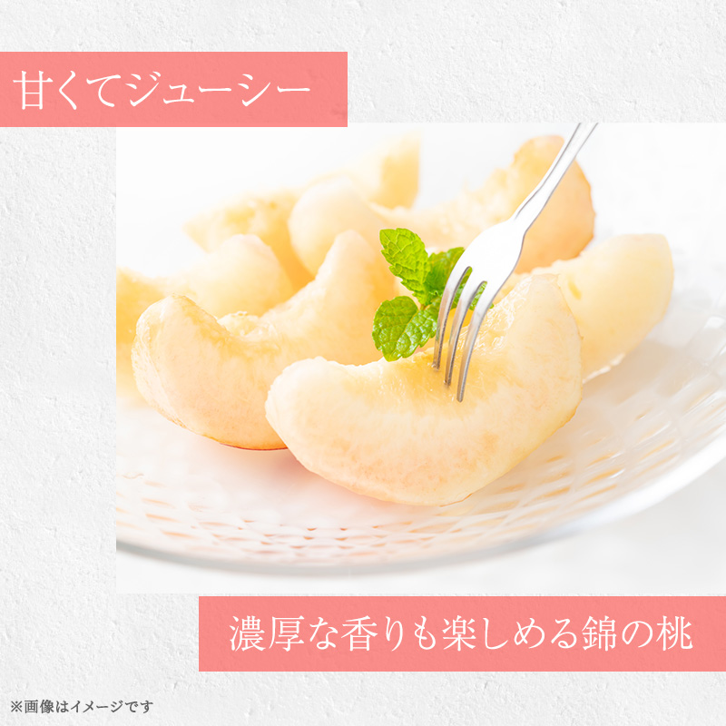 桃 白桃 先行予約 錦の桃 2kg 約5玉～9玉 もも モモ フルーツ 果物 デザート 2026年発送 鎌木果樹園 配送不可:離島 